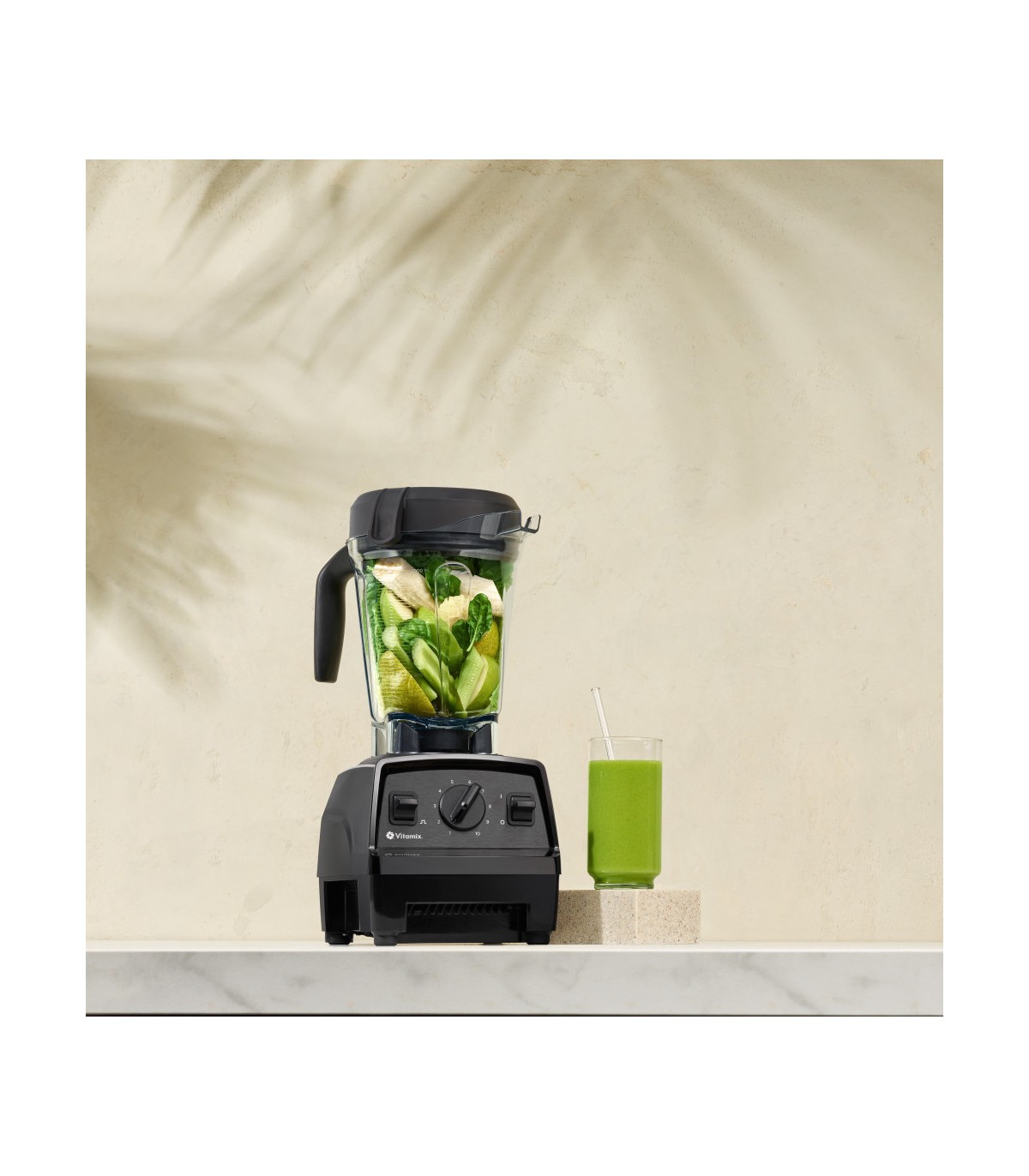 Blender Vitamix Explorian E320 - Noir