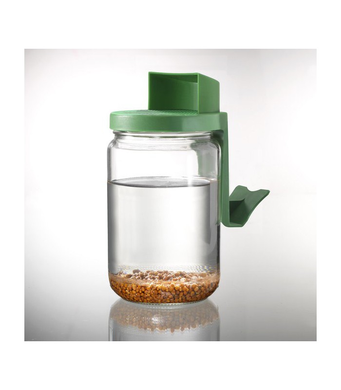 Germoir en verre à  l'unité