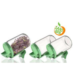 Germoir en verre - lot de 3