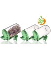 Germoir en verre - lot de 3