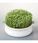 Coupelle de germination Germline