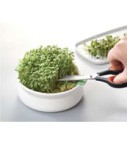 Coupelle de germination Germline